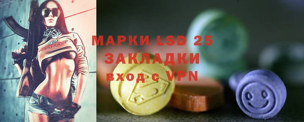прущие крисы Новозыбков