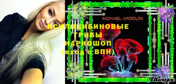 прущие крисы Новозыбков