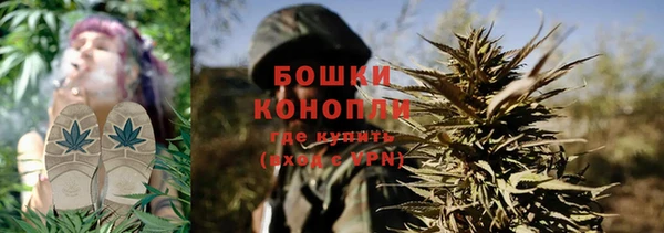 ECSTASY Новодвинск