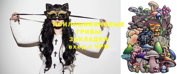 трава Новокубанск