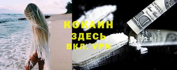 трава Новокубанск