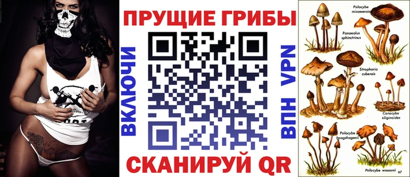 hydra как зайти Сухой Лог Галлюциногенные грибы Psilocybe